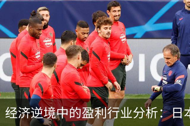 经济逆境中的盈利行业分析：日本的三十年启示
